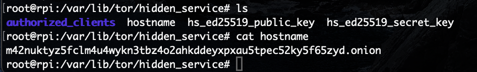 Screenshot of the first SSH access of the Pi