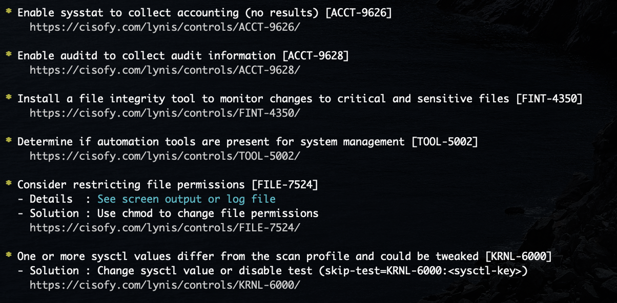 Screenshot of lynis output
