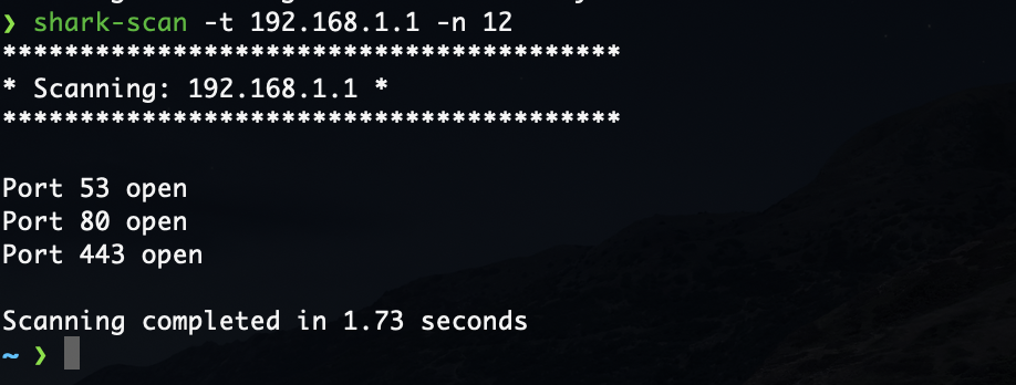 terminal output showing scan results