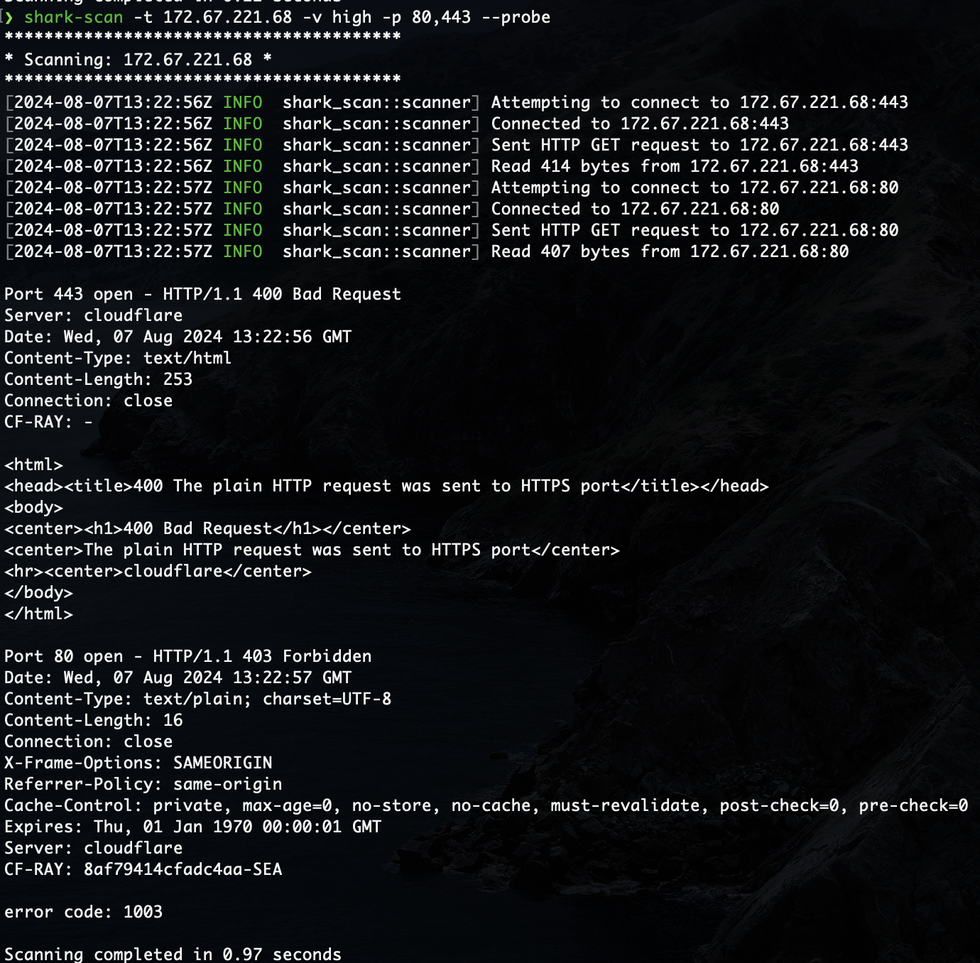 terminal output showing scan results with increased verbosity and the probe flag used